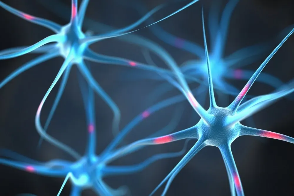 Why Early Neuropathy Detection Matters — Tips to Protect Your Nerves
