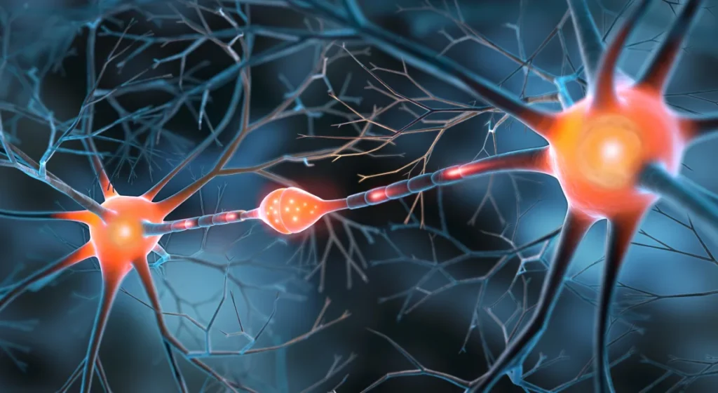 Early Warning Signs of Nerve Damage You Should Never Ignore